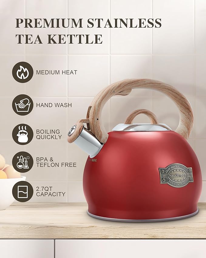 Tea Kettle Stovetops, 2.7 Quart Food Grade Stainless Steel Water kettles for Stove Top Teatop with Anti-hot Ergonomic Handle,Suitable for All Heat Sources
