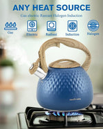 Load image into Gallery viewer, Tea Kettle,2.5 Quart Stovetop Tea Kettles Loud Whistle,Food Grade Stainless Steel Water kettles for Stove Top with Anti-hot Ergonomic Handle,Suitable for All Heat Sources