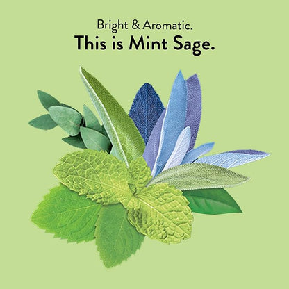 Choice Organic Teas Mint Sage Tea - Organic Herbal Tea - 16 Tea Bags (Pack of 1)