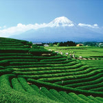 Load image into Gallery viewer, Palais des Thés - Sunset Sleep - Caffeine-Free Rooibos Tea, Chamomile &amp; Lemon Verbena - Premium Tea Bags, Serves 20 Cups