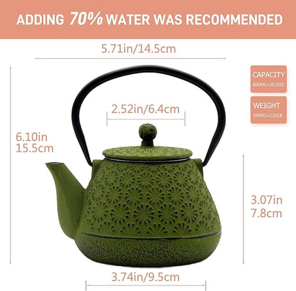Cast Iron Teapot, 20.3oz Enameled Interior, Stainless Steel Infuser for Loose Tea (Green Gerbera Pattern)