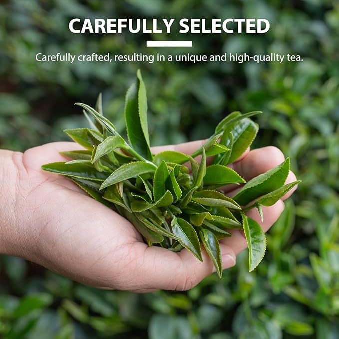 Soeos Organic Oolong Tea, 100 Tea Bags, USDA Certify, Low Caffeine, 6.3 oz (180 g)