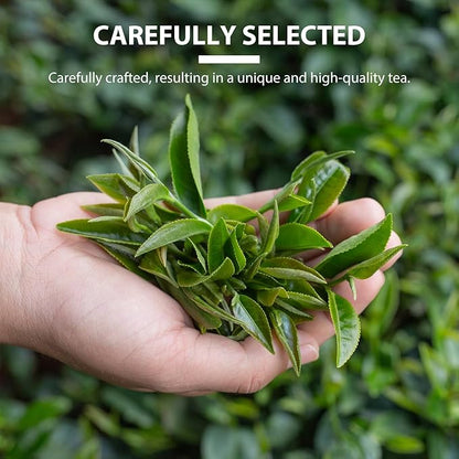 Soeos Organic Oolong Tea, 100 Tea Bags, USDA Certify, Low Caffeine, 6.3 oz (180 g)