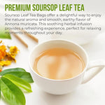 Load image into Gallery viewer, FreshDrinkUS, Premium Soursop Graviola Leaf Tea | 45 Tea Bags form Powder, 100% Natural and Pure, Handmade, Made With Natural Materials-Corn Fiber Tea Bag, Sugar/Caffeine Free, Hoja Guanabana Tea