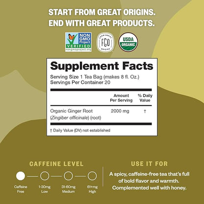 FGO Organic Ginger Tea, 100 Count, Eco-Conscious Tea Bags, Caffeine Free, Packaging May Vary (Pack of 1)