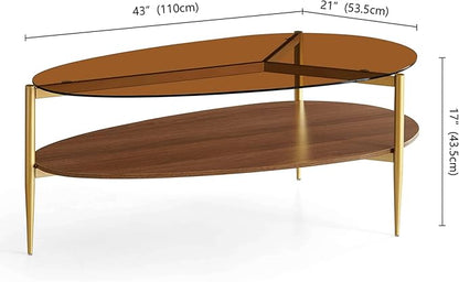 Oval Glass Coffee Table, Mid-Century Modern Design, L43 x W21 x H17 inch, for Living Room, 2-Tier Structure, Amber Glass Top, Walnut Finish Wood Shelf & Gold Finish Frame