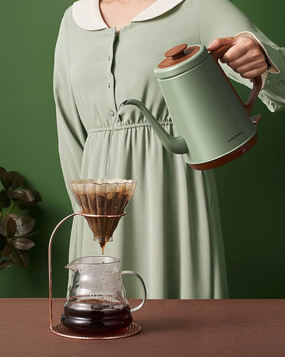 DmofwHi Gooseneck Electric Kettle(1.0L), 100% Stainless Steel BPA Free Classic Pour Over Coffee Kettle | Tea Kettle - Green