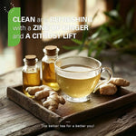 Load image into Gallery viewer, WT WEETEE Lemon Ginger Decaf Green Tea Bags 50 Counts, Made of Decaffeinated Green Tea, Ginger &amp; Natural Lemon Flavor, Clean &amp; Fresh