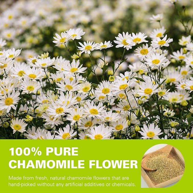 WT WEETEE Chamomile Tea bags, Made with 100% Pure Chamomile Flowers, Natural Caffeine-free Herbal Tea for Relaxation