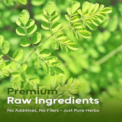 FullChea - Moringa Tea Bags, 100 Count - Pure & Natural Rosabella Moringa Leaves, Cultivated From India - Caffeine-free Herbal Tea for Supporting Digestion & Immune System - Non-GMO