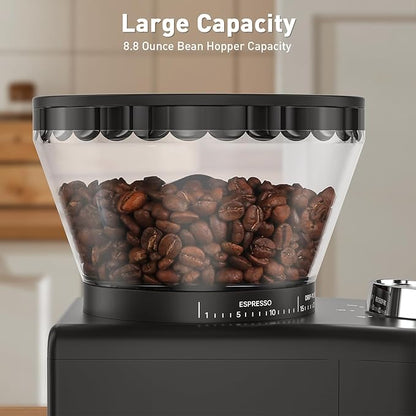 Secura Stainless Steel Conical Burr Coffee Grinder – 35 Grind Settings, 2-12 Cup Capacity, 8.8 oz Bean Storage, One-Touch Operation