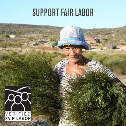 Numi Organic Rooibos Tea Variety Pack, 18 Tea Bags (Pack of 3), Chocolate Rooibos, Rooibos Chai, Rooibos (Packaging May Vary)