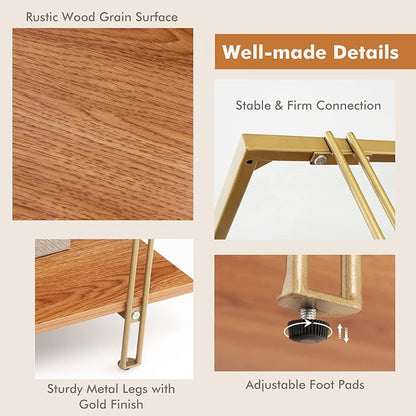 Tangkula Glass Coffee Table, 40In Mid Century 2 Tier Rectangle Coffee Table, Tempered Glass Top & Wood Storage Shelf, Steel Frame, Adjustable Feet, Modern Cocktail Accent Table for Living Room (Gold)