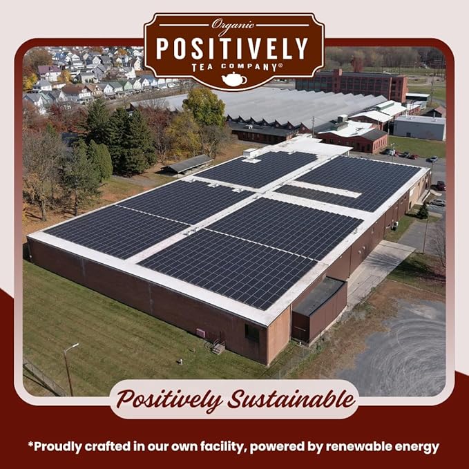 Organic Positively Tea Company, Chocolate Chai Rooibos Tea, K-Cup Compatible, 24 Pods