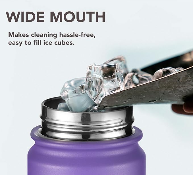 mininoo 24 oz Insulated Water Bottle with Straw Lid, Stainless Steel Double Wall Vacuum, Leak Proof, BPA Free, Keep Cold for 24H & Hot for 12H-2 pack(Purple)