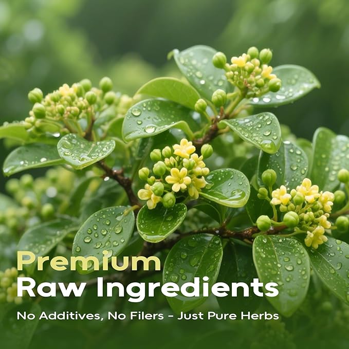 FullChea - Gymnema Leaf Tea, 85 Teabags, Premium Gymnema Tea- Non-GMO - Caffeine-Free - Antioxidant-Rich & Supports Digestion