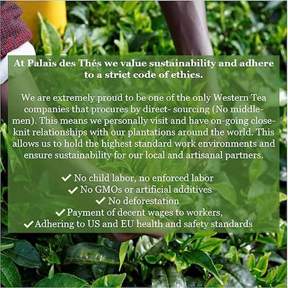 Palais des Thés - Hammam Rooibos Tea - Caffeine-Free Rooibos, Rose & Red Berries - Premium Tea Bags, Serves 20 Cups