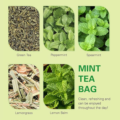 WT WEETEE Mint Green Tea Bags, 100 Count, Perfect blend of Green Tea, Peppermint, Spearmint, Lemongrass, Lemon Balm, Low Caffeine Mint Medley Herbal Tea