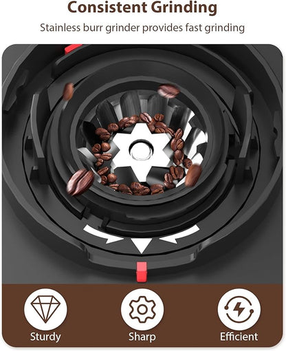 Aromaster Burr Coffee Grinder with 25 Grind Setting, Adjustable 2-12 Cups Timer, Professional Conical Coffee Bean Grinders for Home Use, 3-Ears Portafilter Holder, Anti-static, Cleaning Brush, Black