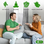 Load image into Gallery viewer, FreshDrinkUS, Premium Green Ginger Tea | 75 Tea Bags | Sencha Green Tea with Ginger, Lemongrass, Turmeric, Hibiscus &amp; Peppermint | Natural Herbal Blend | Comfort &amp; Refreshing, Vegan