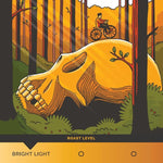 Load image into Gallery viewer, Stone Creek Coffee Light Roast Ground Coffee – 2 LB (Pack of 1) – Smooth Specialty Fresh Roasted Coffee Beans with Juicy and Citrus Tasting Notes, Boneshaker Colombia