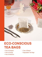 Load image into Gallery viewer, TeeLux Paris Breakfast Tea Bags, Blend Black Tea with Natural Vanilla &amp; Bergamot Flavor, Robust &amp; Smooth Taste, 100 Count