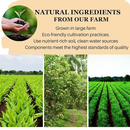 VIDA FARM 75 Turmeric Ginger Cinnamon Tea Bags, Natural Ginger Cinnamon Turmeric Tea, Ginger Cinnamon Turmeric Herbal Tea, Sugar Free, Caffeine Free, Gluten Free