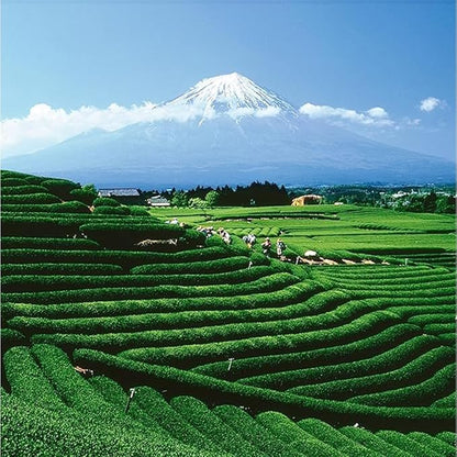 Palais des Thés - Rooibos of Lords - Caffeine-Free Earl Grey & Bergamot Tea - Premium Tea Bags, Serves 20 Cups