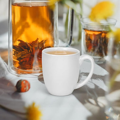 Schliersee 16 OZ White Porcelain Coffee Mugs Set of 6, Large Coffee Cups with Handle for Latte, Hot Tea, Coffee, Cappuccino, Cocoa, Milk, Water, espresso Porcelain Mug Cups, Microwave Safe