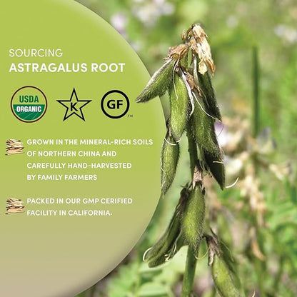 Worldwide Botanicals Organic Astragalus Root – 8 Oz – 100% Astragalus membranaceus - Cut & Sift – Huang Qi Used in Traditional Chinese Medicine to Strengthen and Protect