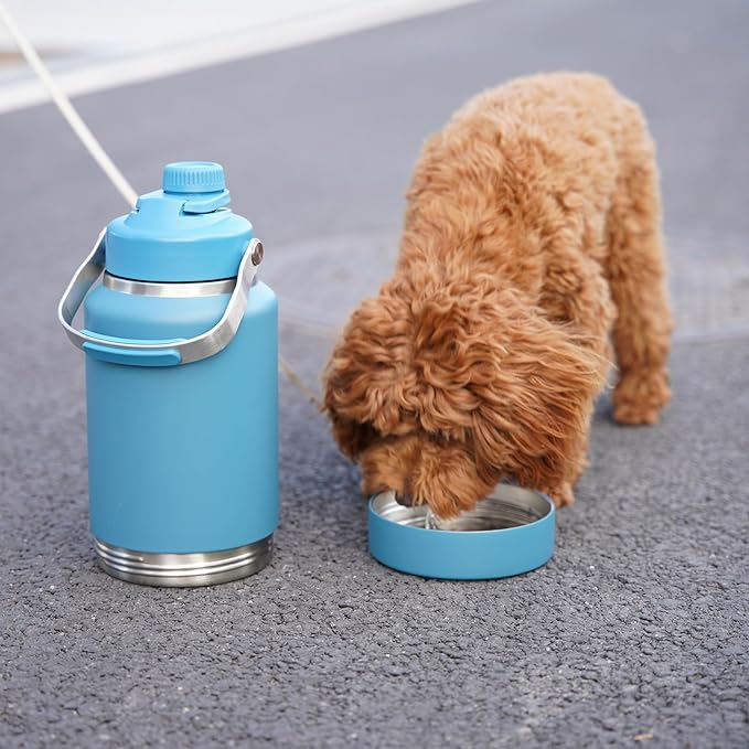 BJPKPK 64oz Insulated Water Bottles, Dishwasher Safe Half gallon Water Bottle with Metal Handle, BPA Free Spout Lid & Detachable Bowl, Large Stainless Steel Jugs, Grey