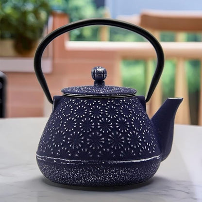 20.3oz Small Cast Iron Teapot, SECHUDO Cast Iron Tea Kettle for Stovetop Safe Coated with Enameled Interior, Cast Iron Tea Pot with Stainless Steel Infuser for Loose Tea (Blue Gerbera Pattern)