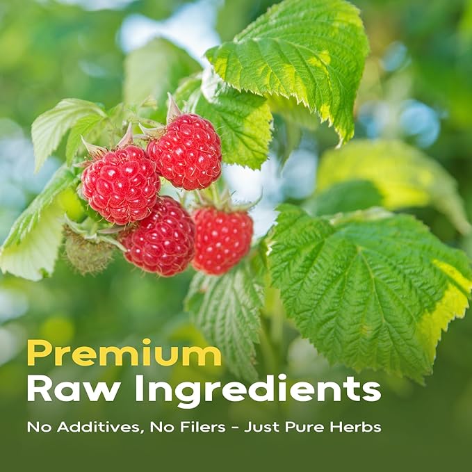 FullChea - Raspberry Leaf Tea Bag, 100 Count - Natural Pregnancy Tea for Women's Wellness, Menstrual Cycle & Uterine Health - Pure Red Raspberry Leaves - Non-GMO - Caffeine-free