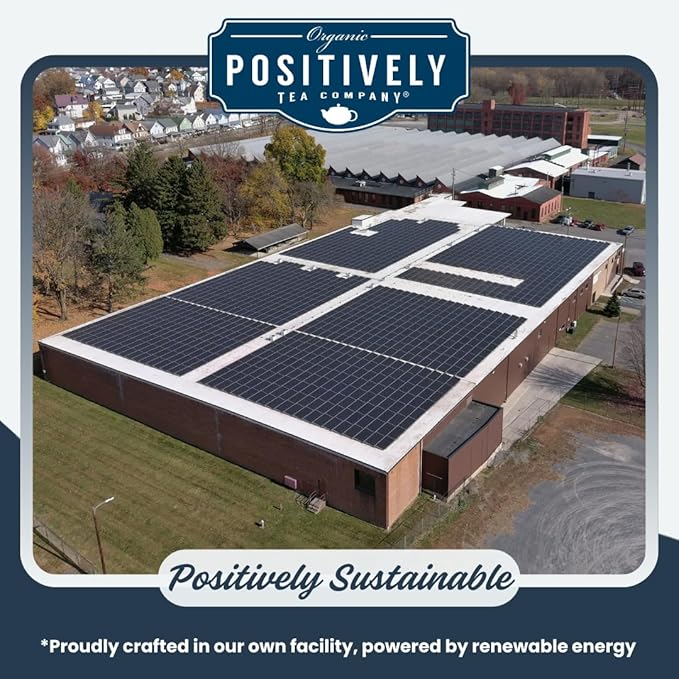 Organic Positively Tea Company, Masala Chai Black Tea, Loose Leaf, 16 Ounce