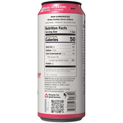 Daytrip Organic Yerba Mate Energy Drink- Clean, Plant Based Caffeine (200mg) with Adaptogenic Mushrooms and Green Tea for Focus and Brain Fog - Low Calorie, Low Sugar (12 Pack Case)