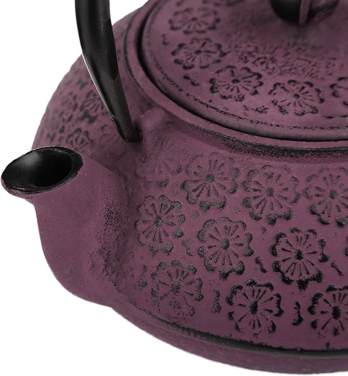 30 oz Cast Iron Teapot Enamel Lining W/Metal Infuser Tea Kettle, Purple