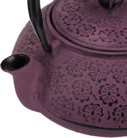 30 oz Cast Iron Teapot Enamel Lining W/Metal Infuser Tea Kettle, Purple