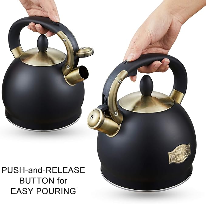 Stove Top Whistling Tea Kettle- Stainless Steel Teakettle Teapot with Ergonomic Handle 2.6 Quart(Black)
