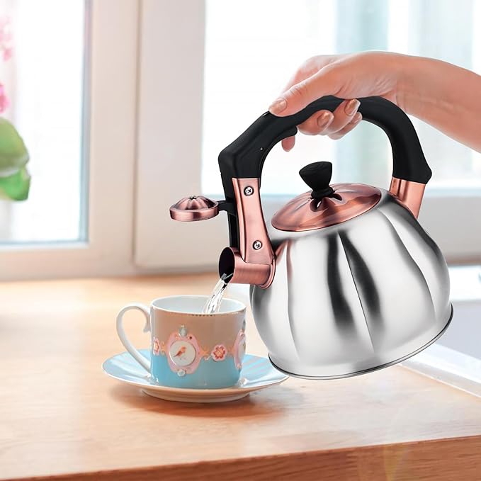 Stainless Steel Tea Kettle for Stove Top Teakettles Stovetop Whistling with Heat Proof Ergonomic Handle 2.5 Quart