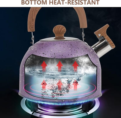 Hemoton Stainless Steel Water Kettle Food-grade Heating Pot for Boiling Water Compatible with Gas Stove Induction Cooker Convenient Handle Elegant Design