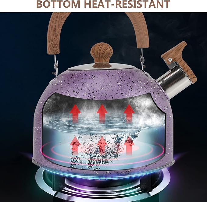 Hemoton Stainless Steel Water Kettle Food-grade Heating Pot for Boiling Water Compatible with Gas Stove Induction Cooker Convenient Handle Elegant Design