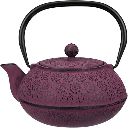 30 oz Cast Iron Teapot Enamel Lining W/Metal Infuser Tea Kettle, Purple