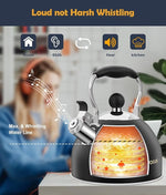 Load image into Gallery viewer, Tea Kettle, 2 Quart Stainless Steel Whistling Tea Kettle, Stovetop Whistling Teakettle Tea Pots for Stove Top with Ergonomic Folding Handle, Small Teapot, Water boiler for Tea, Coffee (Black)
