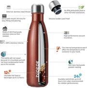 BJPKPK Insulated Water Bottles 17oz, Leak Proof Stainless Steel Water Bottle Keeps Cold for 24 Hours and Hot for 12 Hours,BPA Free,Brick Red