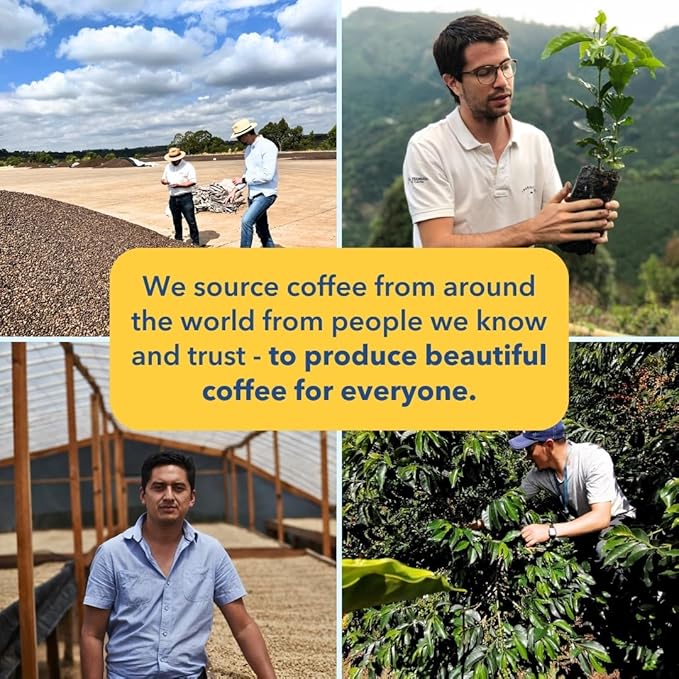 PARTNERS COFFEE ROASTERS - Whole Bean Coffee (El Ramo - Colombian, Light Roast) 12oz - Sweet, Nuanced Colombian Blend - Peach, Fresh Cream, Vanilla - Whole Coffee Beans - Roasted in New York City