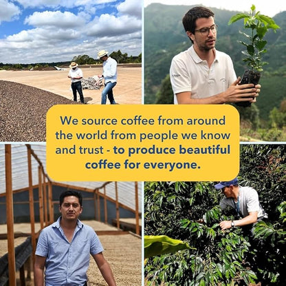 PARTNERS COFFEE ROASTERS - Whole Bean Coffee (El Ramo - Colombian, Light Roast) 12oz - Sweet, Nuanced Colombian Blend - Peach, Fresh Cream, Vanilla - Whole Coffee Beans - Roasted in New York City