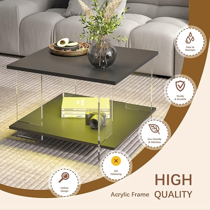 24" Acrylic Coffee Table with Black Wood Tabletop, Minimalist Stylish Modern Square Center Table for Living Room,Led Living Room Table with Storage Shelf & Acrylic Frame for Small Space