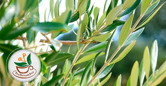 Olive Leaf Tea Bags – 200 Bags (Premium Dried Olive Leaf Tea - 200 Count), Natural Extract Caffeine-Free Herbal Tea for Health & Immune Support