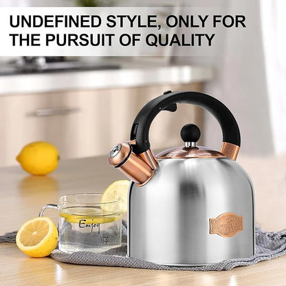 SUSTEAS Tea Kettle - 3.17QT Whistling Kettle with Ergonomic Handle - Premium Stainless Steel Tea Pots for Stove Top, Chic Vintage Teapot with Composite Base, Work for All Stovetops (Silver)