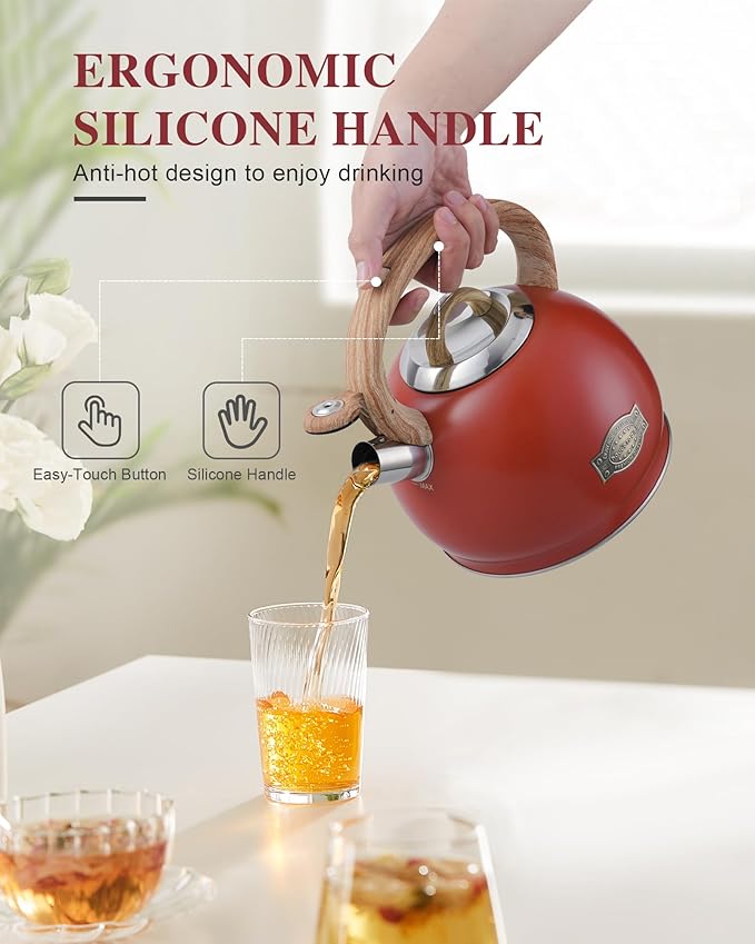 Tea Kettle Stovetops, 2.7 Quart Food Grade Stainless Steel Water kettles for Stove Top Teatop with Anti-hot Ergonomic Handle,Suitable for All Heat Sources